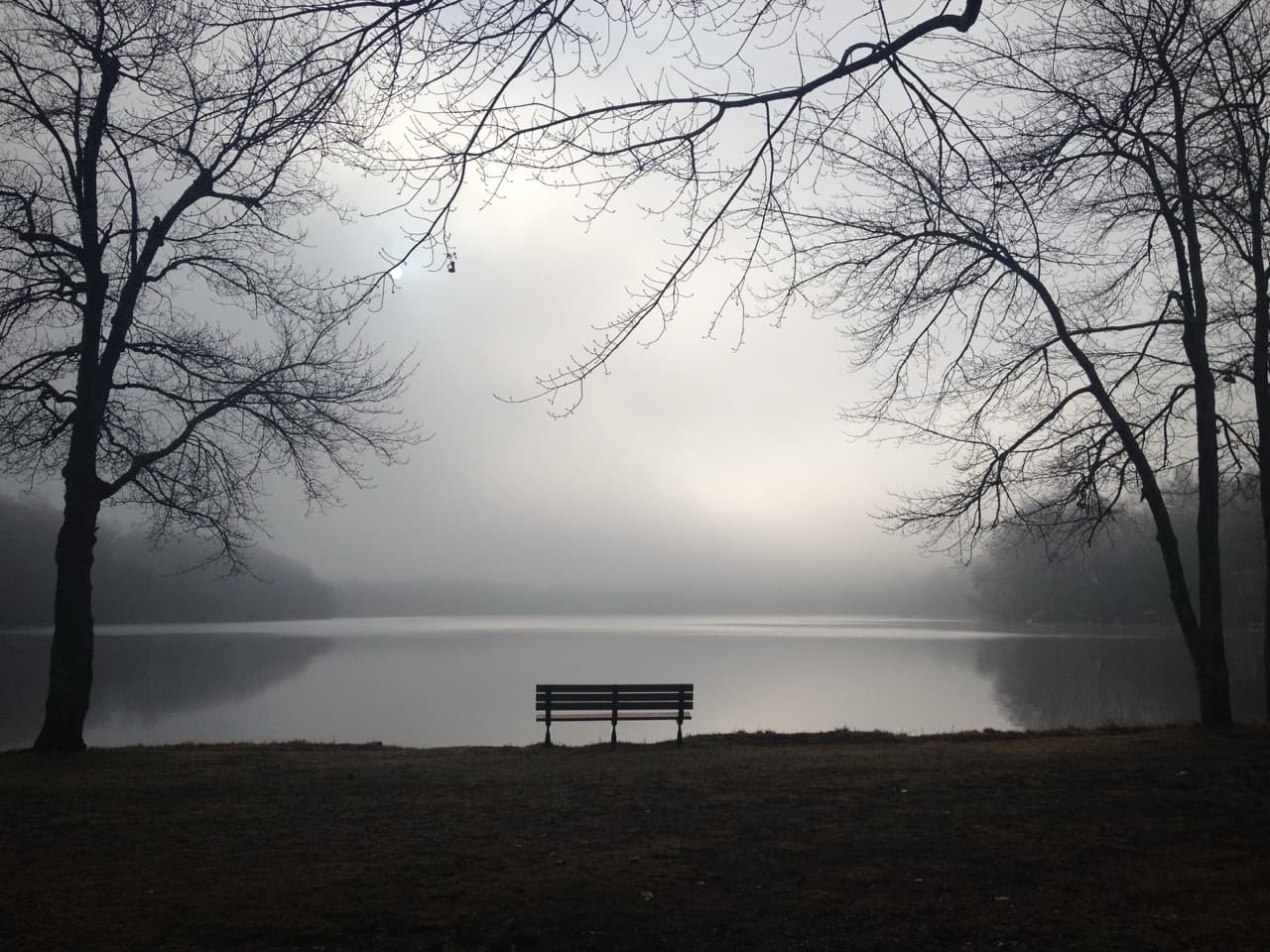 Bench, Black & White