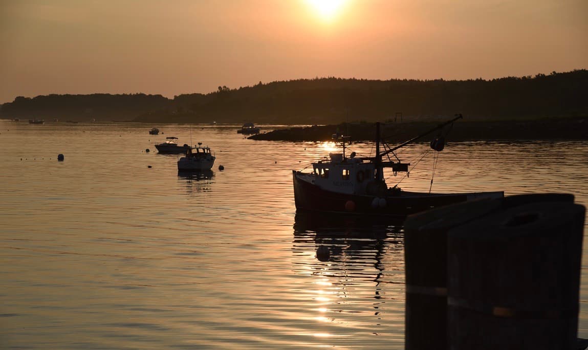 Sunset Harbor